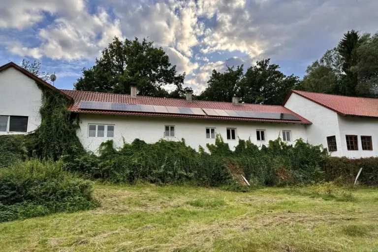 Langgezogenes ländliches Wohnhaus mit rotem Ziegeldach, Photovoltaikanlage und starkem Pflanzenbewuchs an der Fassade