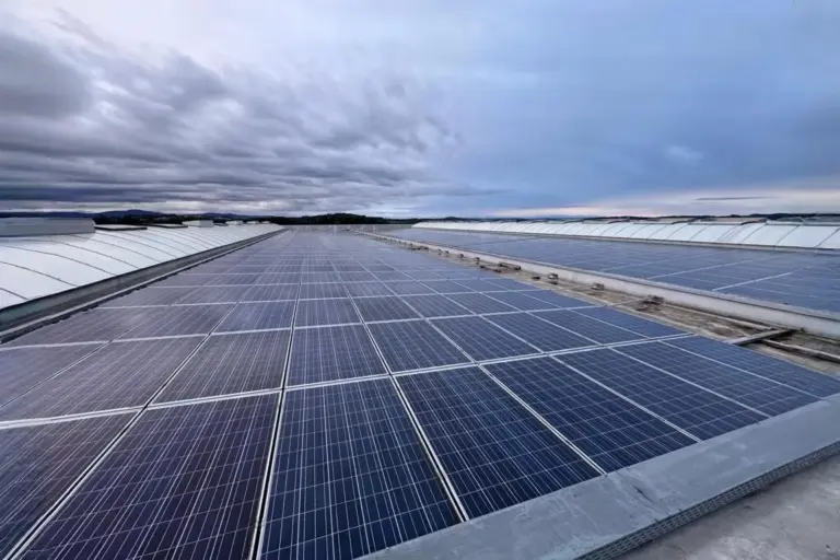 Großflächige Photovoltaikanlage auf einem Flachdach eines Industriegebäudes bei bewölktem Himmel